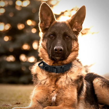 K9 Taktisches Halsband